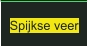 Spijkse veer